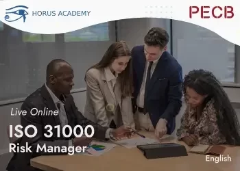معيار ايزو 31000